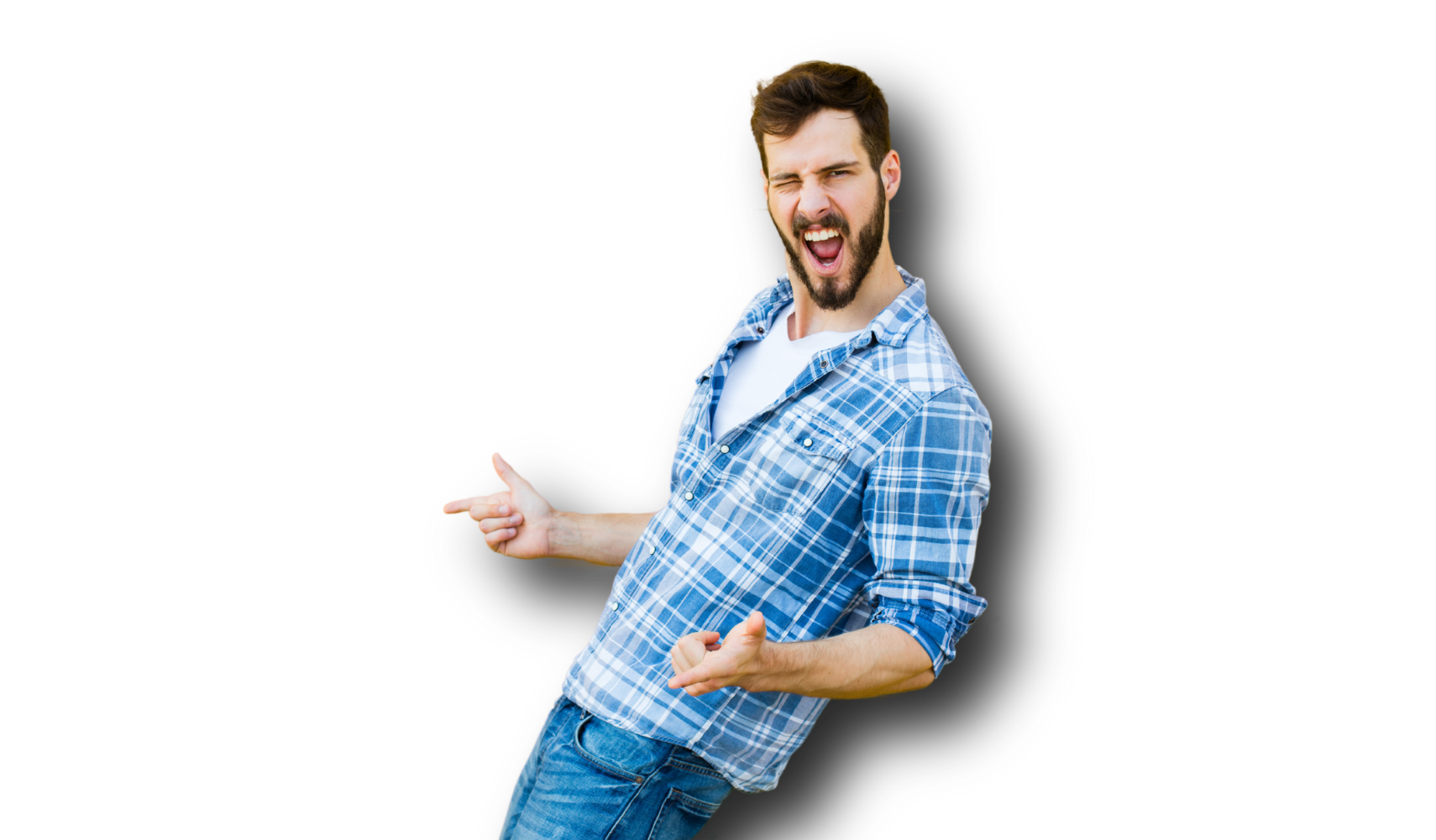 FREELANCER SERVIÇOS WEB BRASIL PROGRAMADORES